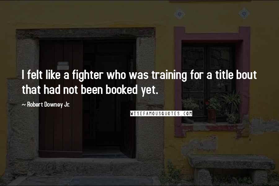 Robert Downey Jr. Quotes: I felt like a fighter who was training for a title bout that had not been booked yet.