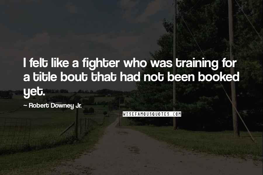Robert Downey Jr. Quotes: I felt like a fighter who was training for a title bout that had not been booked yet.