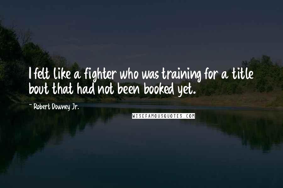 Robert Downey Jr. Quotes: I felt like a fighter who was training for a title bout that had not been booked yet.