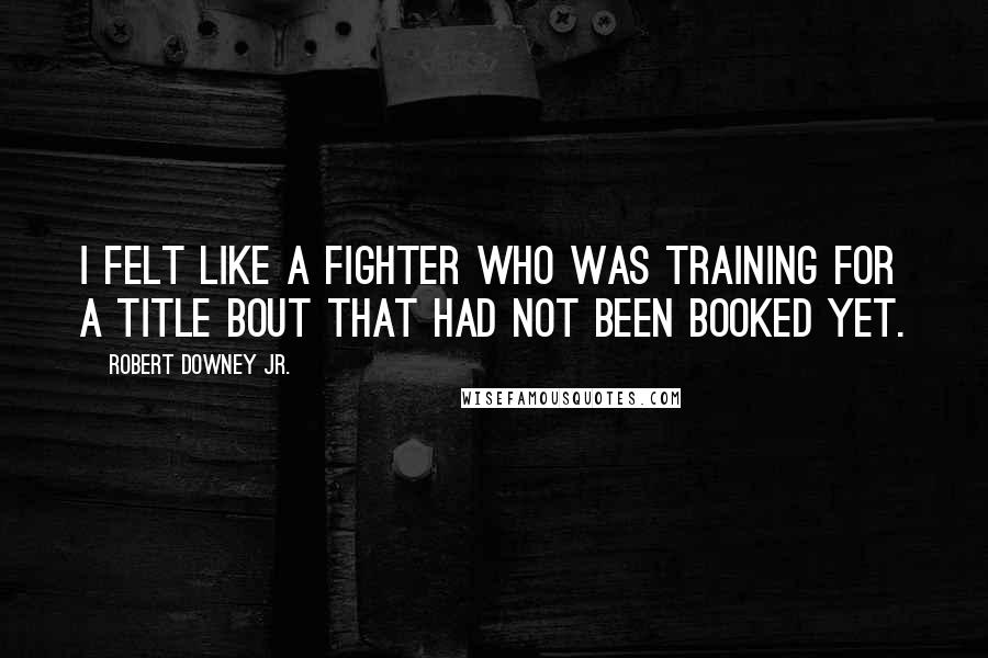 Robert Downey Jr. Quotes: I felt like a fighter who was training for a title bout that had not been booked yet.