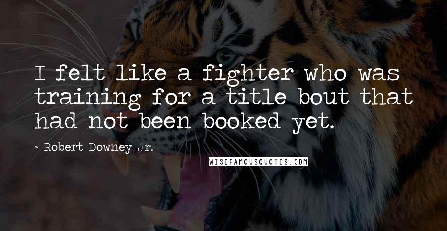 Robert Downey Jr. Quotes: I felt like a fighter who was training for a title bout that had not been booked yet.