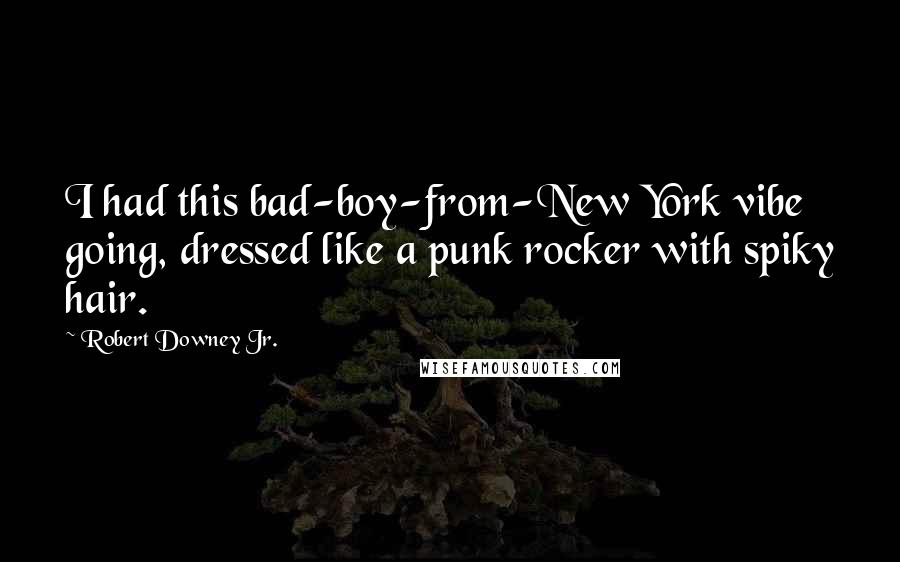 Robert Downey Jr. Quotes: I had this bad-boy-from-New York vibe going, dressed like a punk rocker with spiky hair.