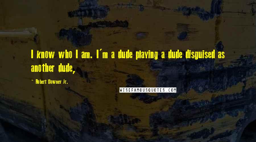 Robert Downey Jr. Quotes: I know who I am. I'm a dude playing a dude disguised as another dude,