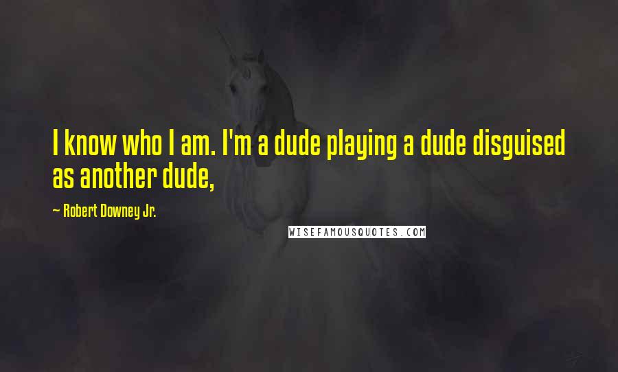 Robert Downey Jr. Quotes: I know who I am. I'm a dude playing a dude disguised as another dude,