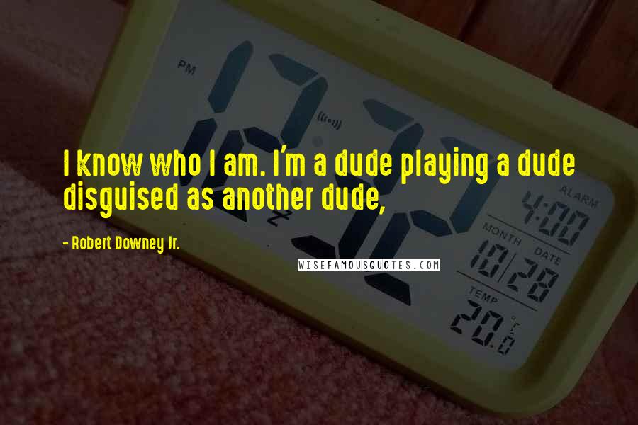 Robert Downey Jr. Quotes: I know who I am. I'm a dude playing a dude disguised as another dude,