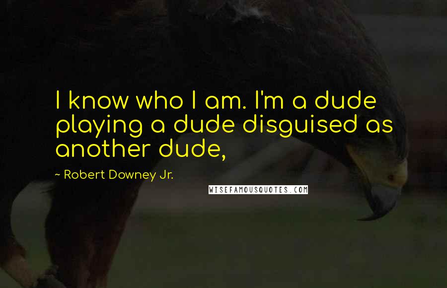 Robert Downey Jr. Quotes: I know who I am. I'm a dude playing a dude disguised as another dude,