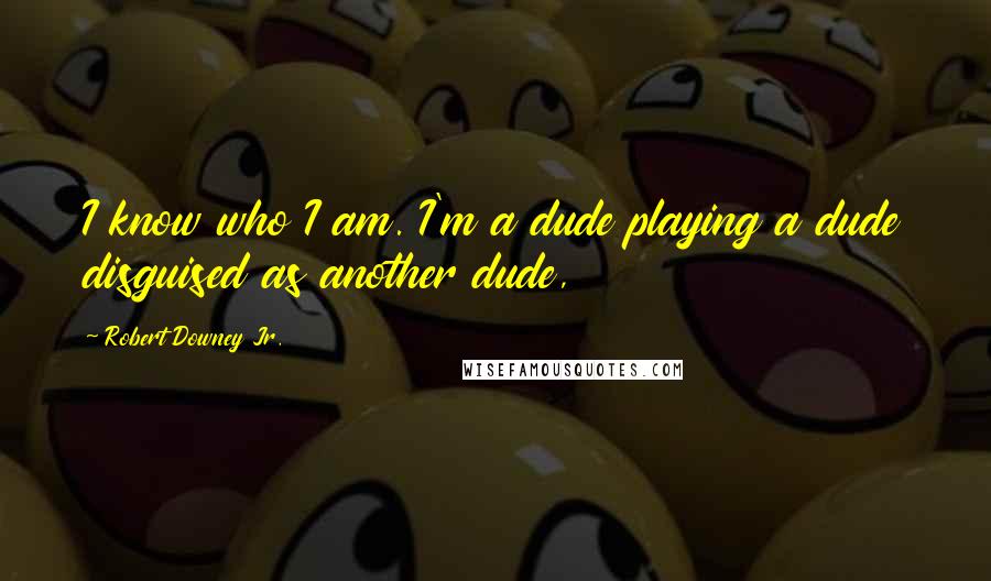 Robert Downey Jr. Quotes: I know who I am. I'm a dude playing a dude disguised as another dude,