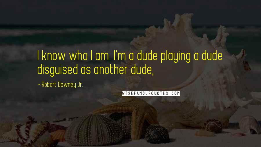 Robert Downey Jr. Quotes: I know who I am. I'm a dude playing a dude disguised as another dude,