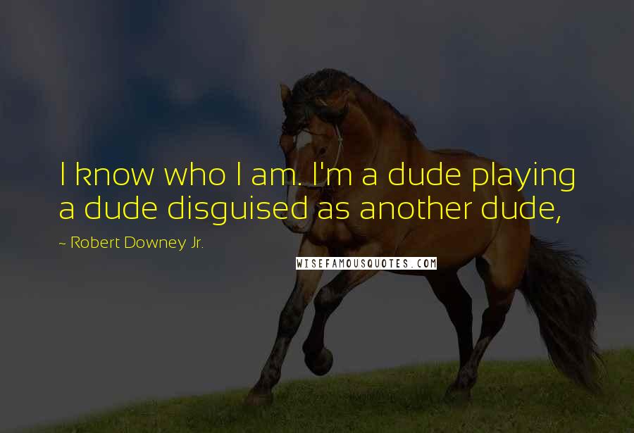 Robert Downey Jr. Quotes: I know who I am. I'm a dude playing a dude disguised as another dude,
