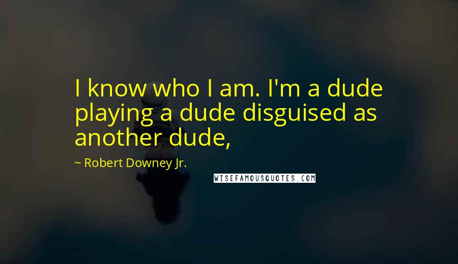 Robert Downey Jr. Quotes: I know who I am. I'm a dude playing a dude disguised as another dude,