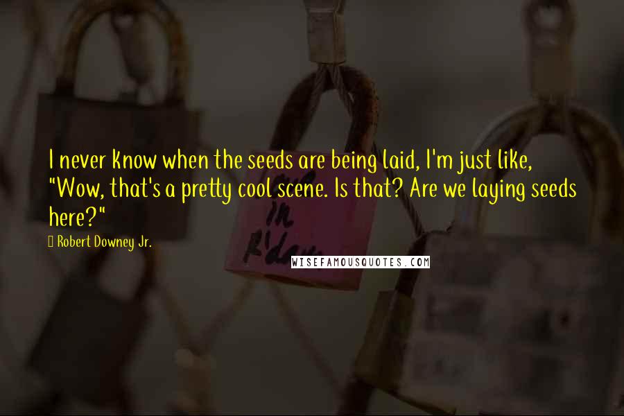 Robert Downey Jr. Quotes: I never know when the seeds are being laid, I'm just like, "Wow, that's a pretty cool scene. Is that? Are we laying seeds here?"