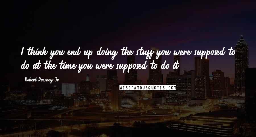 Robert Downey Jr. Quotes: I think you end up doing the stuff you were supposed to do at the time you were supposed to do it.