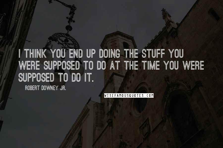 Robert Downey Jr. Quotes: I think you end up doing the stuff you were supposed to do at the time you were supposed to do it.
