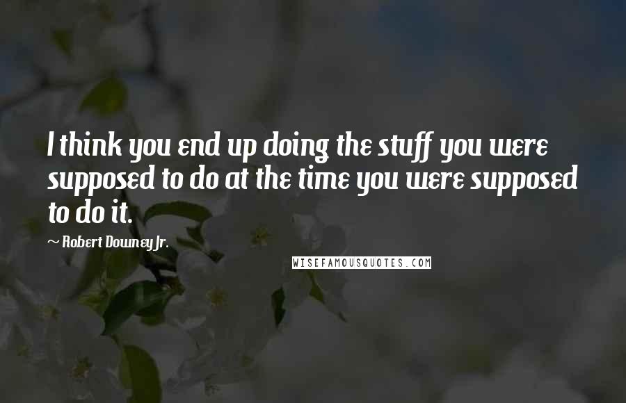 Robert Downey Jr. Quotes: I think you end up doing the stuff you were supposed to do at the time you were supposed to do it.