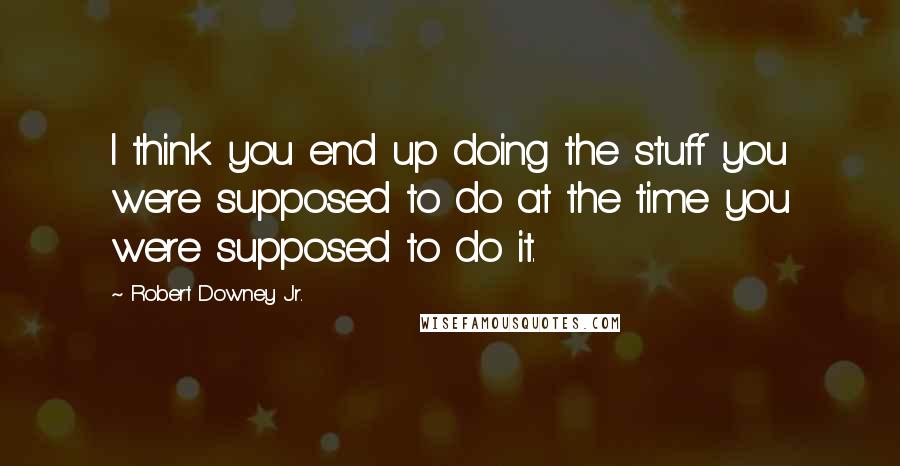 Robert Downey Jr. Quotes: I think you end up doing the stuff you were supposed to do at the time you were supposed to do it.