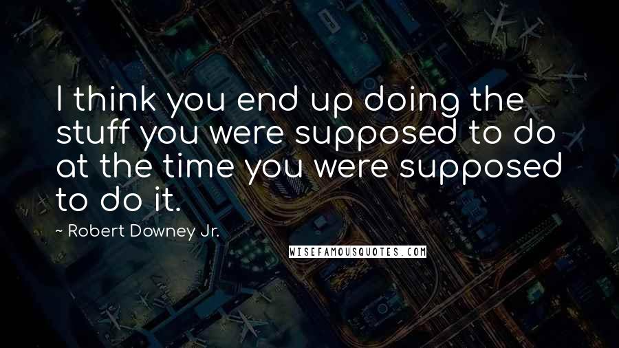 Robert Downey Jr. Quotes: I think you end up doing the stuff you were supposed to do at the time you were supposed to do it.