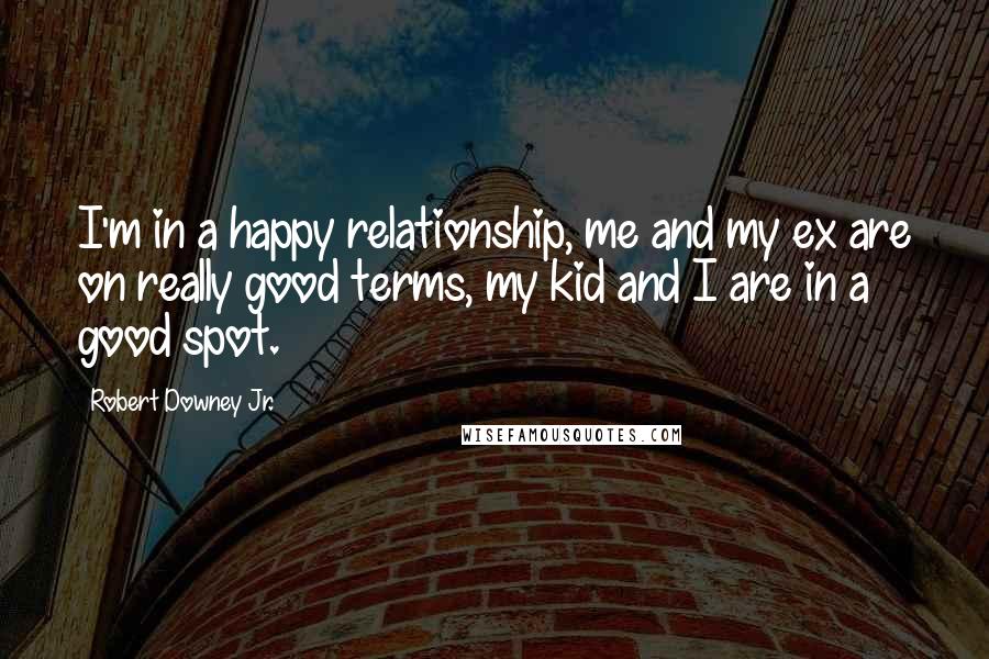 Robert Downey Jr. Quotes: I'm in a happy relationship, me and my ex are on really good terms, my kid and I are in a good spot.