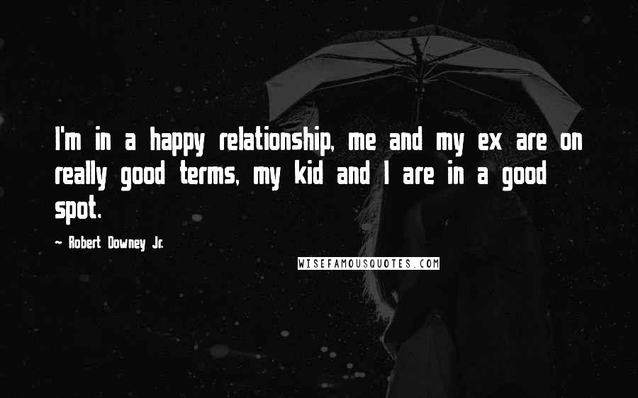 Robert Downey Jr. Quotes: I'm in a happy relationship, me and my ex are on really good terms, my kid and I are in a good spot.