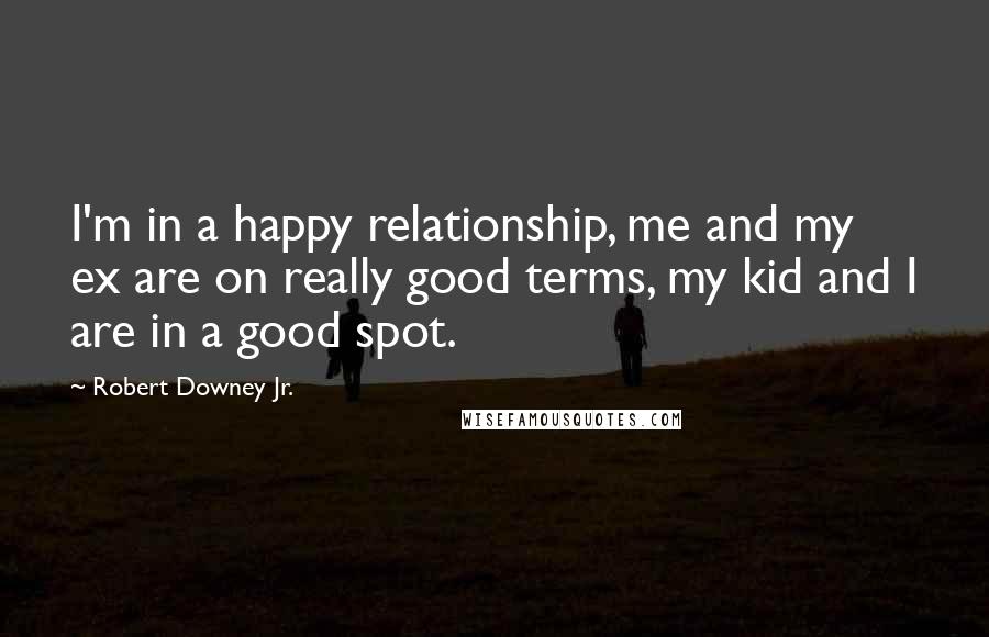 Robert Downey Jr. Quotes: I'm in a happy relationship, me and my ex are on really good terms, my kid and I are in a good spot.