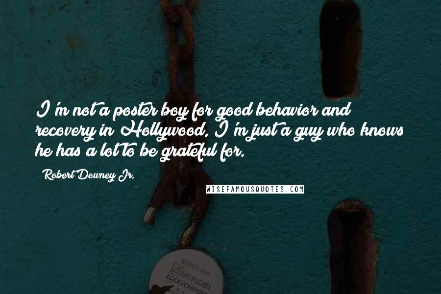 Robert Downey Jr. Quotes: I'm not a poster boy for good behavior and recovery in Hollywood, I'm just a guy who knows he has a lot to be grateful for.