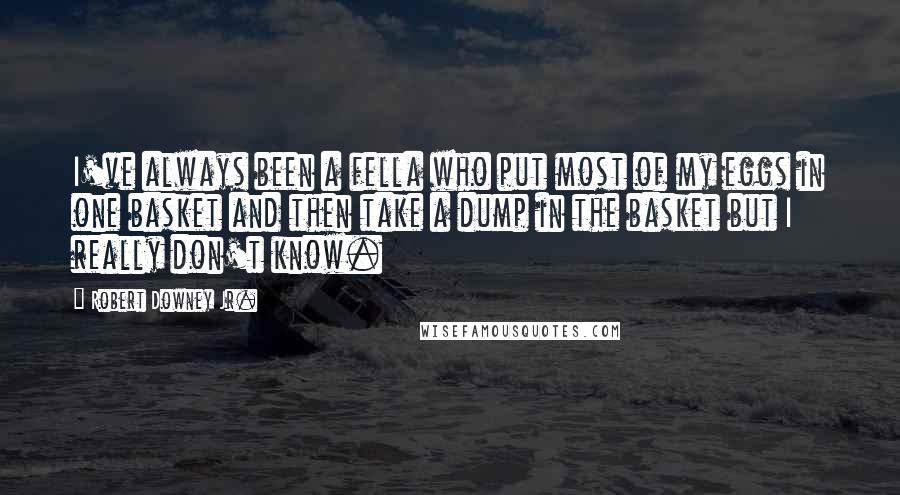 Robert Downey Jr. Quotes: I've always been a fella who put most of my eggs in one basket and then take a dump in the basket but I really don't know.