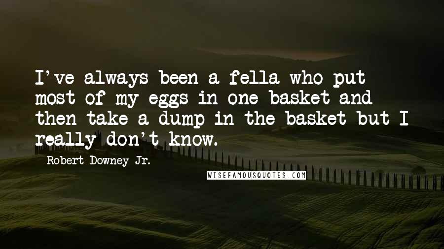 Robert Downey Jr. Quotes: I've always been a fella who put most of my eggs in one basket and then take a dump in the basket but I really don't know.