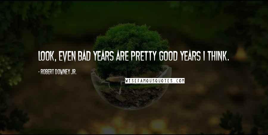 Robert Downey Jr. Quotes: Look, even bad years are pretty good years I think.