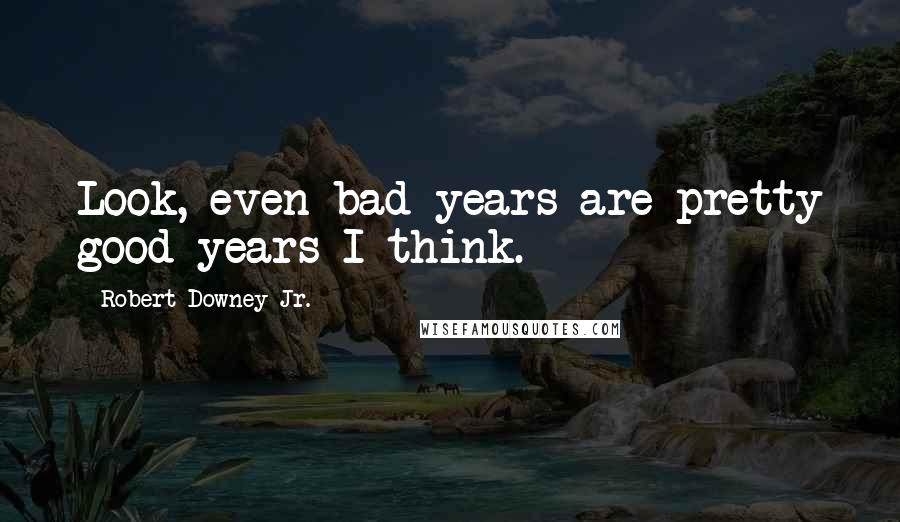Robert Downey Jr. Quotes: Look, even bad years are pretty good years I think.