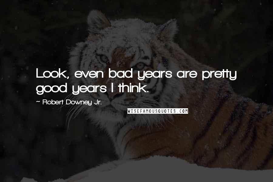 Robert Downey Jr. Quotes: Look, even bad years are pretty good years I think.