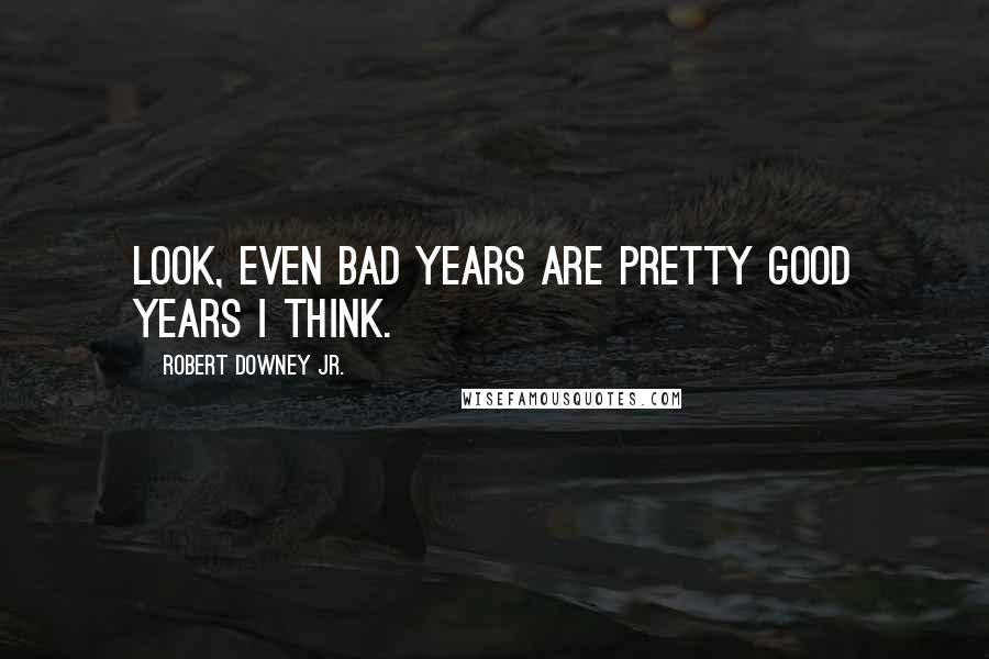 Robert Downey Jr. Quotes: Look, even bad years are pretty good years I think.