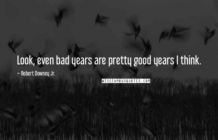 Robert Downey Jr. Quotes: Look, even bad years are pretty good years I think.