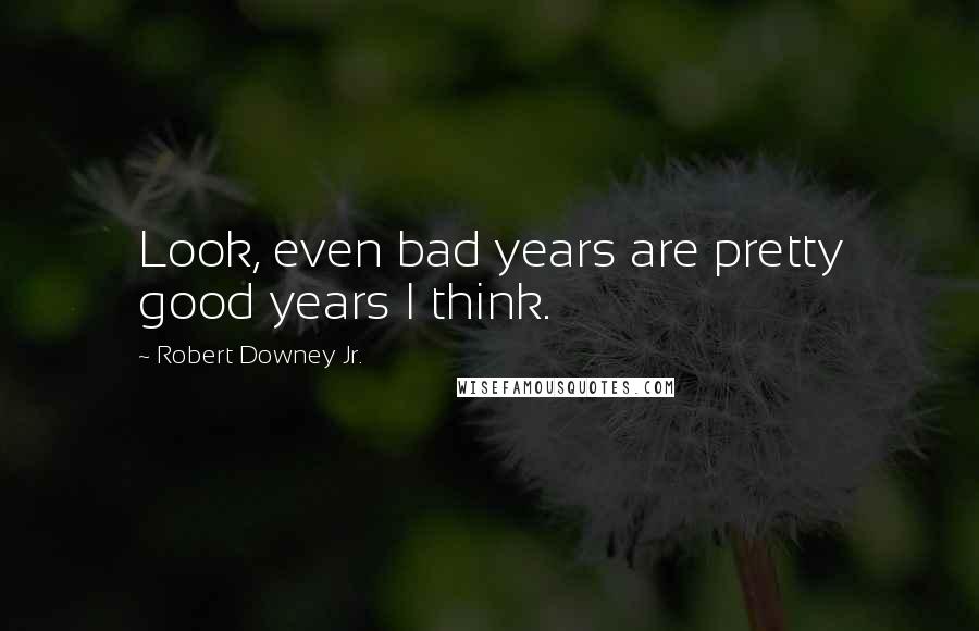 Robert Downey Jr. Quotes: Look, even bad years are pretty good years I think.
