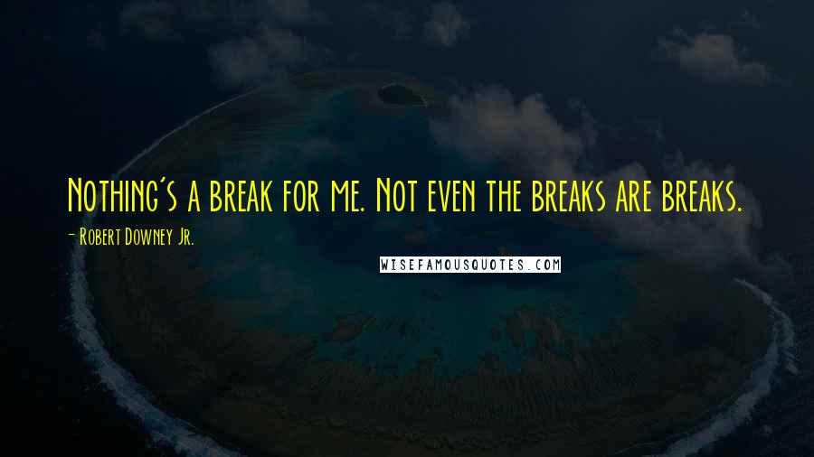 Robert Downey Jr. Quotes: Nothing's a break for me. Not even the breaks are breaks.