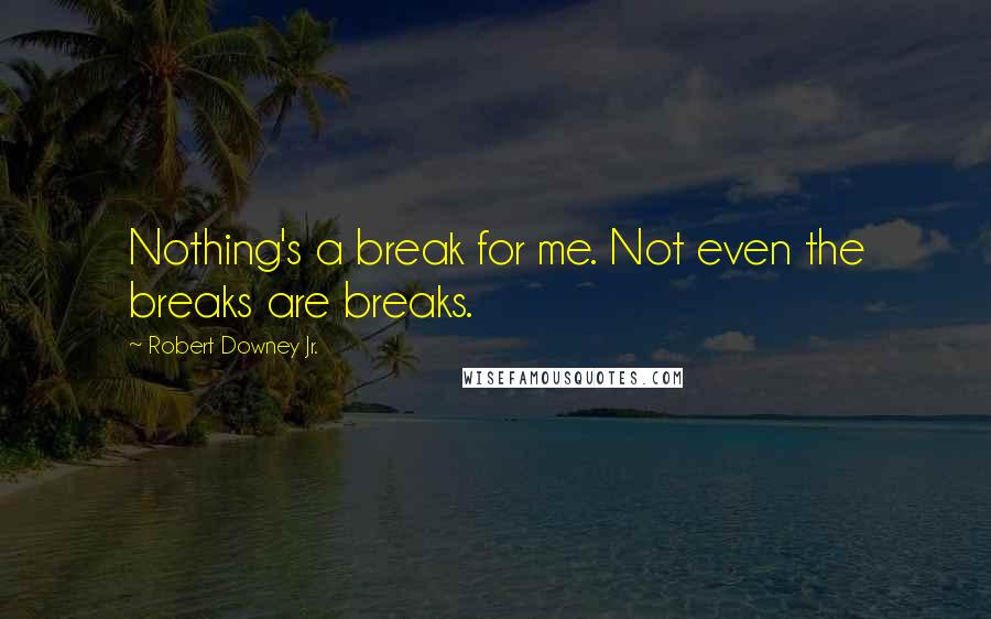 Robert Downey Jr. Quotes: Nothing's a break for me. Not even the breaks are breaks.