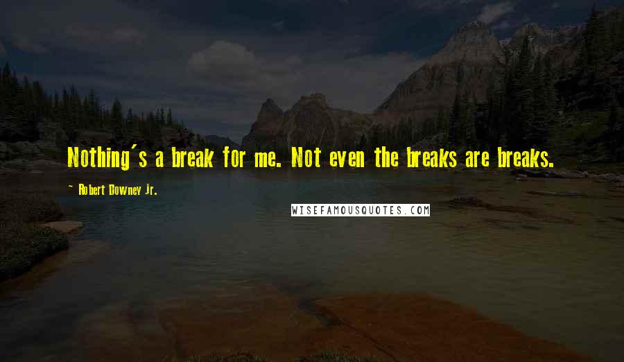 Robert Downey Jr. Quotes: Nothing's a break for me. Not even the breaks are breaks.