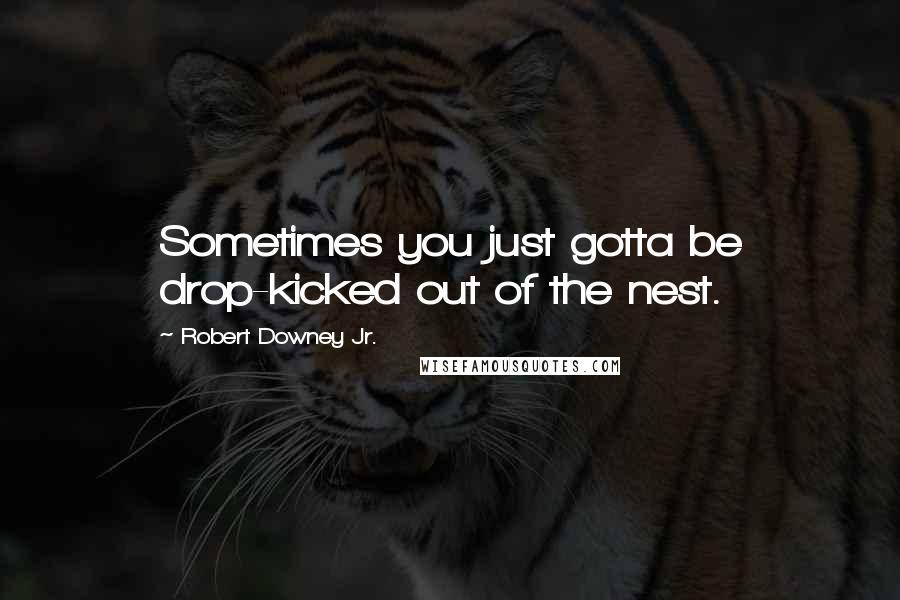 Robert Downey Jr. Quotes: Sometimes you just gotta be drop-kicked out of the nest.