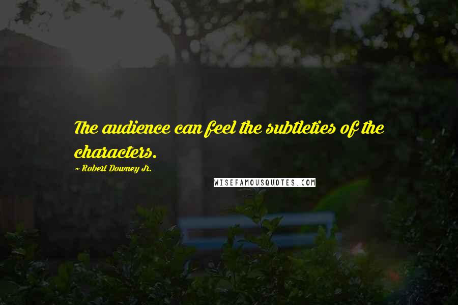 Robert Downey Jr. Quotes: The audience can feel the subtleties of the characters.