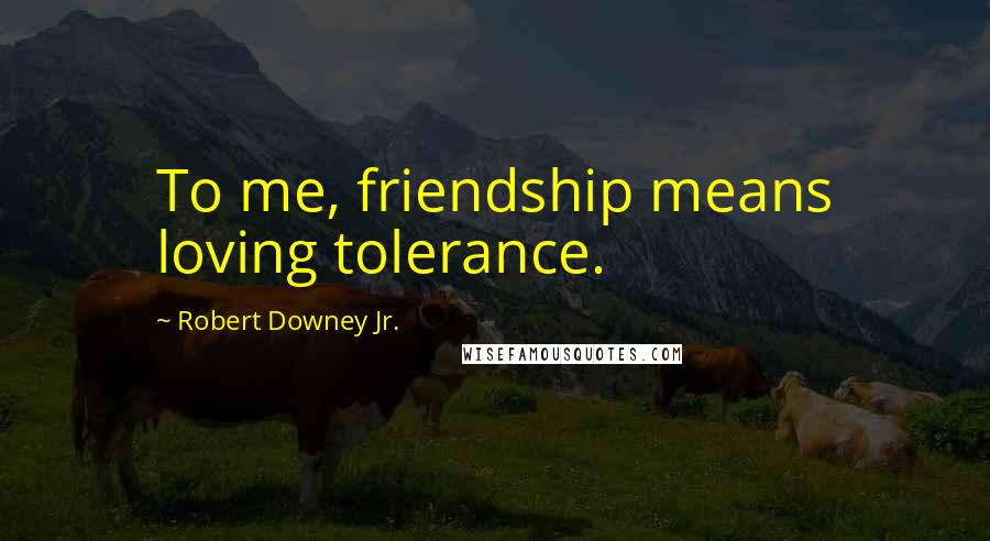 Robert Downey Jr. Quotes: To me, friendship means loving tolerance.