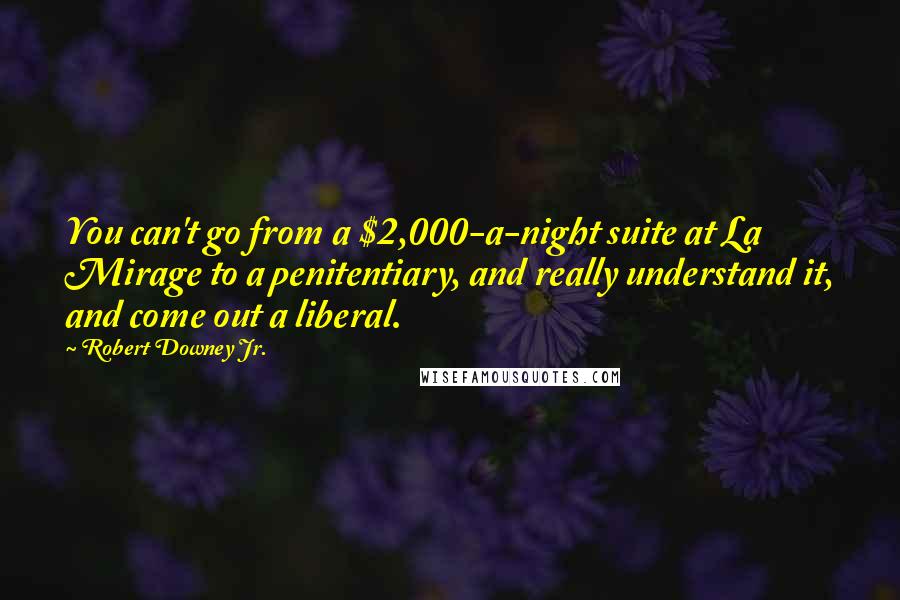 Robert Downey Jr. Quotes: You can't go from a $2,000-a-night suite at La Mirage to a penitentiary, and really understand it, and come out a liberal.