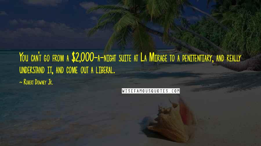 Robert Downey Jr. Quotes: You can't go from a $2,000-a-night suite at La Mirage to a penitentiary, and really understand it, and come out a liberal.