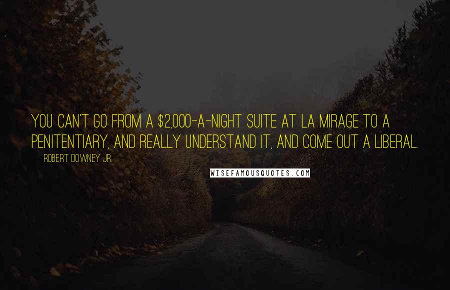 Robert Downey Jr. Quotes: You can't go from a $2,000-a-night suite at La Mirage to a penitentiary, and really understand it, and come out a liberal.