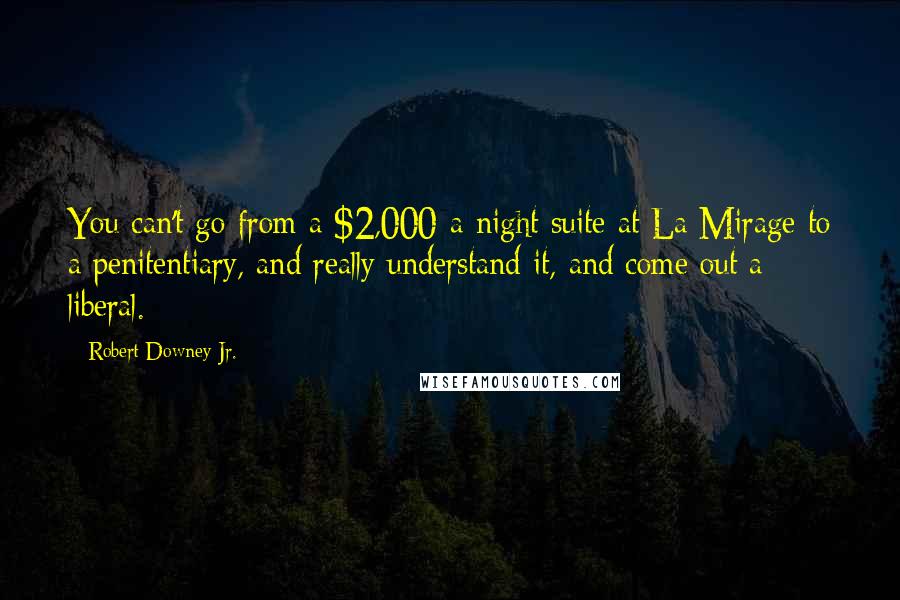 Robert Downey Jr. Quotes: You can't go from a $2,000-a-night suite at La Mirage to a penitentiary, and really understand it, and come out a liberal.