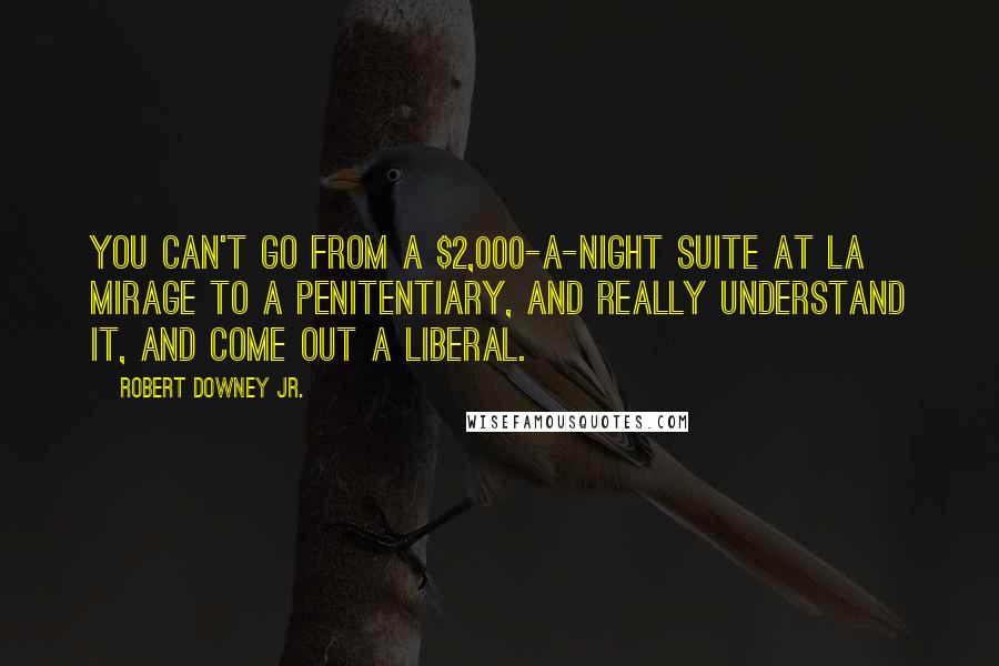 Robert Downey Jr. Quotes: You can't go from a $2,000-a-night suite at La Mirage to a penitentiary, and really understand it, and come out a liberal.