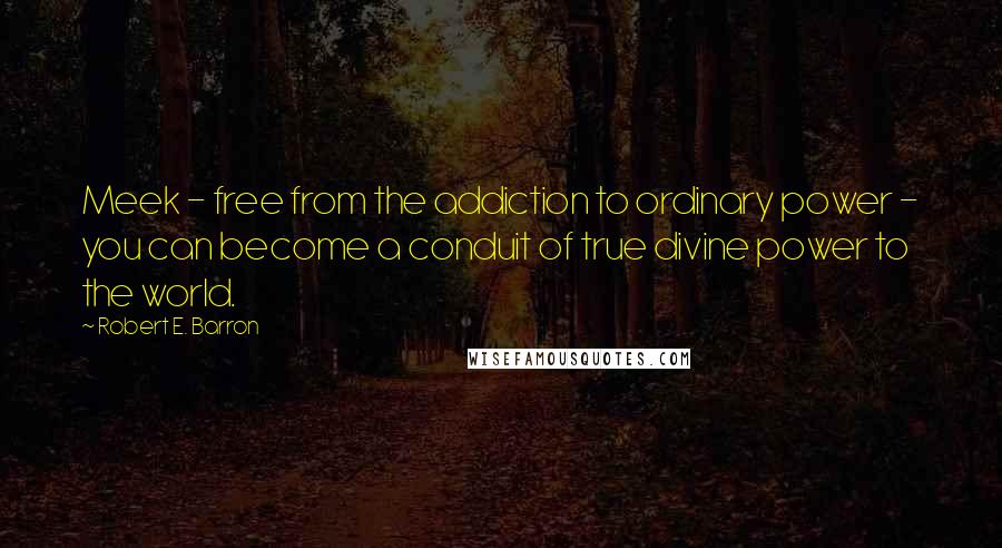Robert E. Barron Quotes: Meek - free from the addiction to ordinary power - you can become a conduit of true divine power to the world.