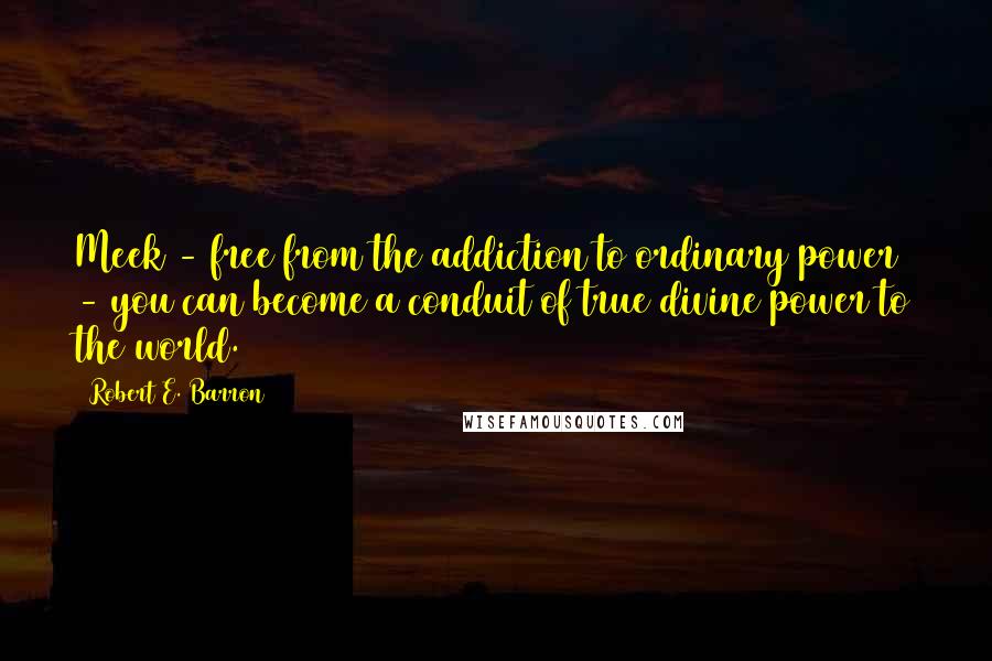 Robert E. Barron Quotes: Meek - free from the addiction to ordinary power - you can become a conduit of true divine power to the world.