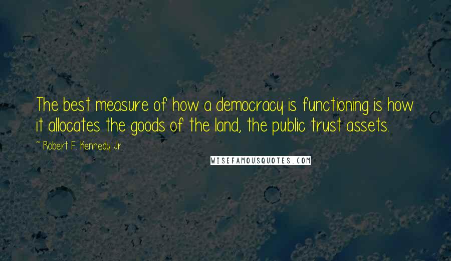 Robert F. Kennedy Jr. Quotes: The best measure of how a democracy is functioning is how it allocates the goods of the land, the public trust assets.