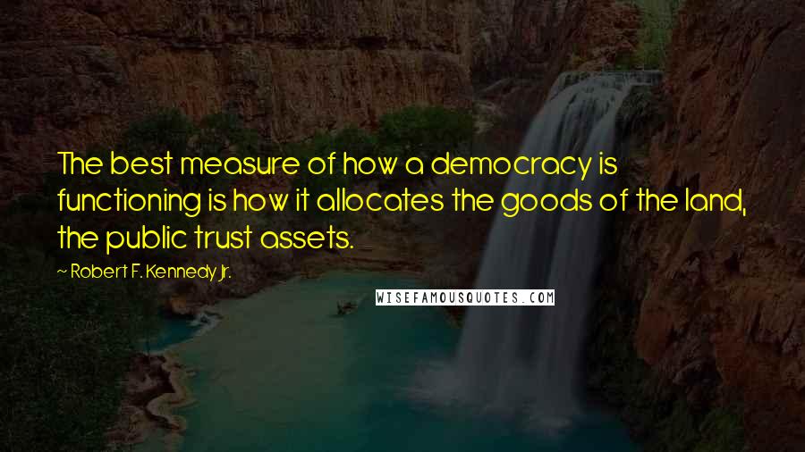 Robert F. Kennedy Jr. Quotes: The best measure of how a democracy is functioning is how it allocates the goods of the land, the public trust assets.