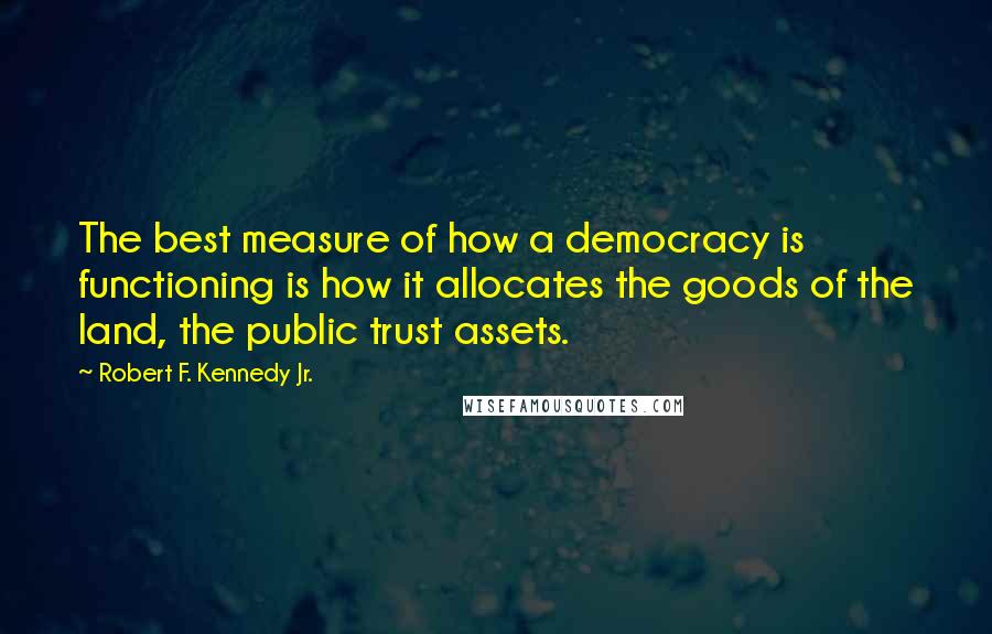 Robert F. Kennedy Jr. Quotes: The best measure of how a democracy is functioning is how it allocates the goods of the land, the public trust assets.