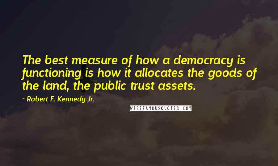 Robert F. Kennedy Jr. Quotes: The best measure of how a democracy is functioning is how it allocates the goods of the land, the public trust assets.