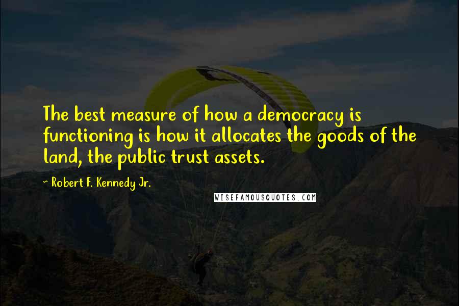 Robert F. Kennedy Jr. Quotes: The best measure of how a democracy is functioning is how it allocates the goods of the land, the public trust assets.